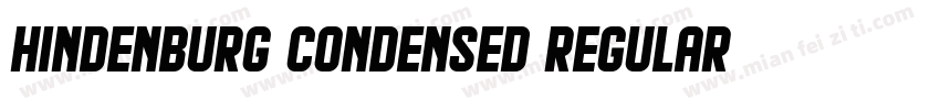 Hindenburg Condensed Regular字体转换